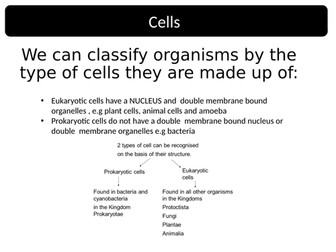 CELLS REVISION A LEVEL AND ROOT TIP SQUASH REQUIRED PRACTICAL