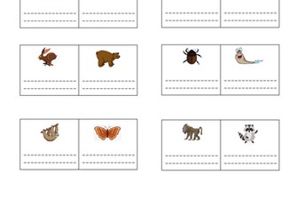 Room on the broom poetry