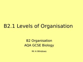 B2 Organisation - AQA GCSE Biology (9-1)