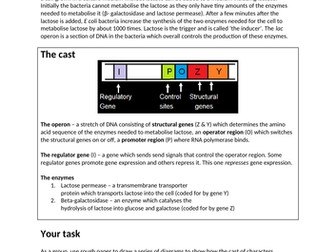 lac operon group work activity