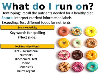 Exploring Science 8A Food and Nutrition