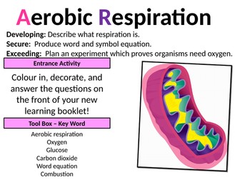 Exploring Science 8C Breathing and respiration