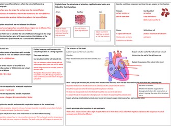 GCSE Biology topic 8 revision mat Exchange and transport in Animals