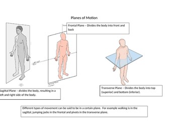 Planes and Axes of Motion