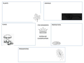 Five kingdoms summary activity