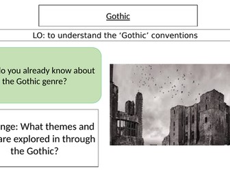 Introducing the Gothic