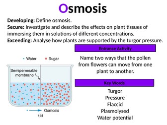 AQA B1 Diffusion, Osmosis, Active transport (3 Lessons)