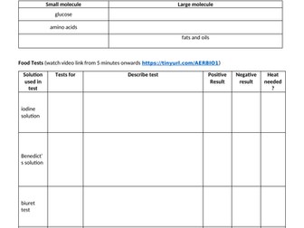 Revision workbooks for Biological Molecules and Enzymes - Cambridge IGCSE Biology 0610