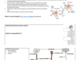 Revision workbook - Coordination & response (Hormones & Nervous system) - Cambridge IGCSE Biology