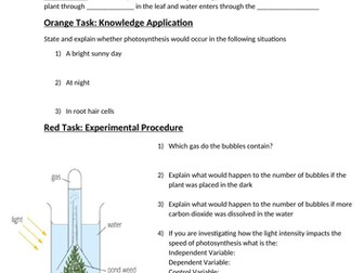 Photosynthesis Worksheet