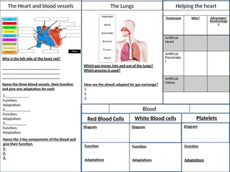 GCSE Biology B4 Revision Placemat