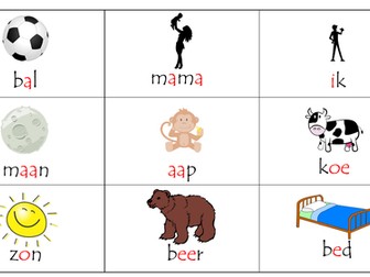 Flashcards woorden ( Nederlands Dutch)