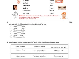 Revision - Year 8 French