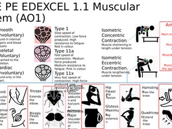 GCSE PE Edexcel Component 1 Body system knowledge organisers