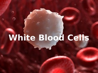 White Blood Cells - Lesson & Worksheet - SEN/KS4