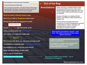 Poetry: Out of the Bag Annotations, Seamus Heaney