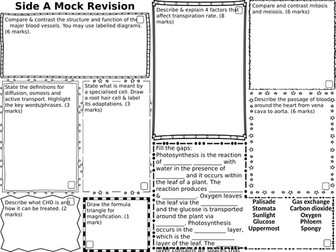Revision Mat Template