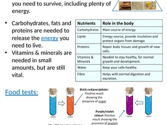 Home Learning Pack ~ KS3 ~ Year 8 ~ Health & Lifestyle