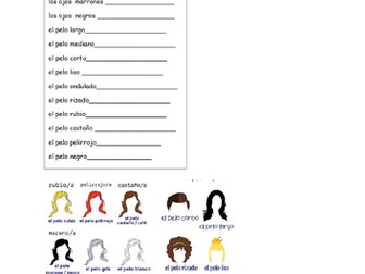 Year 7 Descripción física (hair and eyes)