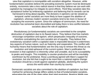 political ideology essay