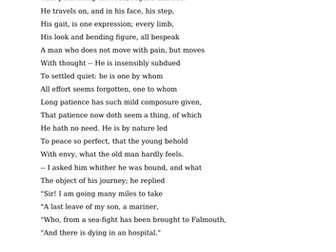 Poetry Questions: 'Old Man Travelling'