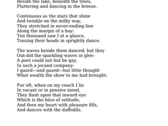 Poetry Questions: 'Daffodils'