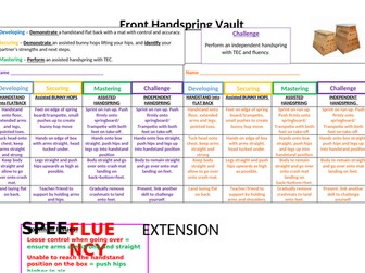 Gymnastics Flight Handspring Resource and Peer Assessment card