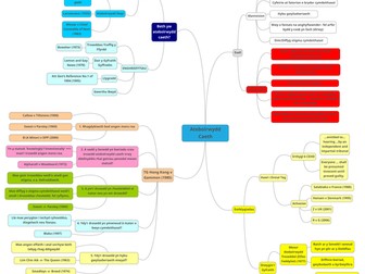 Atebolrwydd Caeth - Map Meddwl