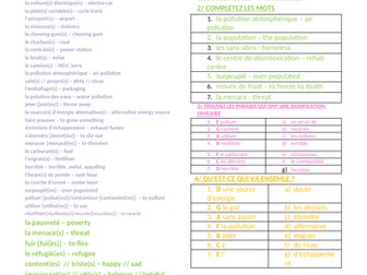 GCSE French 'Global Issues' Vocabulary Worksheet