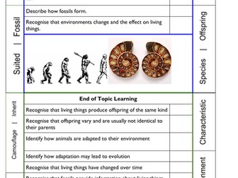 Year 6 Knowledge Organisers / Topic Page