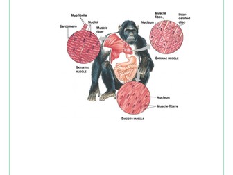 AQA GCSE  Biology Booklet