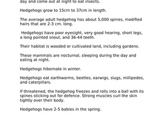 Hedgehog Facts