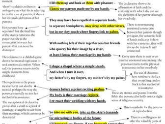 Genetics by Sinead Morrissey Detailed Annotations