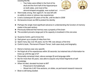 Henry Molaison Case Study Info Sheet - Psychology A Level