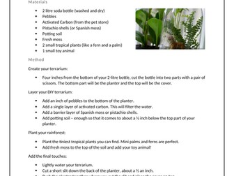 Science at Home - Build a Rainforest