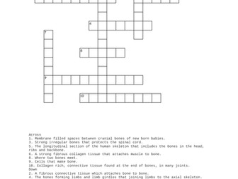 The Human Skeleton Crossword