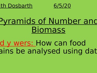 Pyramids of Number and Biomass