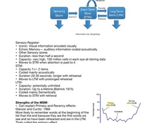 Memory A* Revision Notes - AQA A-Level Psychology