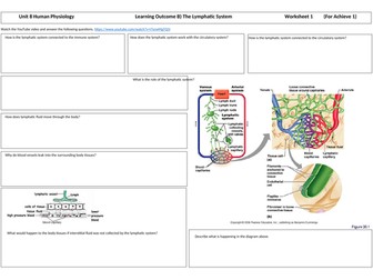 Applied Science Unit 8 Structure, Function and Disorders of the Lymphatic System