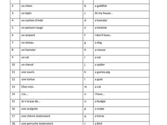 Pets - worksheet (ideal for cover)