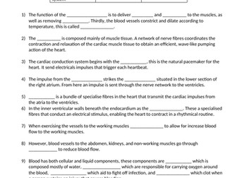 Cardiovascular System - Fill in the gaps