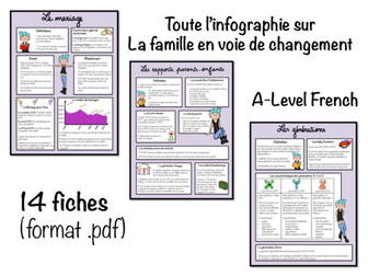 Infographie- La famille en voie de changement- A Level French