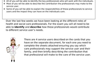 Unit 2 - Working In Health and Social Care - Roles in Health and Social Care Application Task