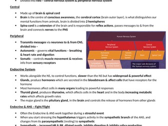 AQA A level Psychology Biopsychology Revision Guide