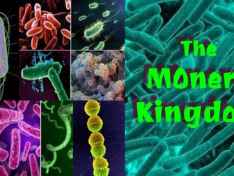 The Monera (Bacteria) Kingdom