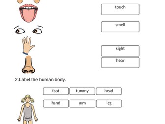 Science End Of Unit Assessments Year 1