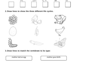 Years 2-6 Science End of Unit Assessments