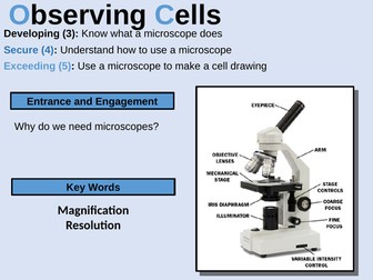 B1.1 Observing Cells - Year 7 Biology