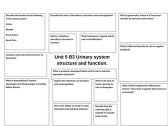 U5 B3 Revision on Urinary System structure & function.