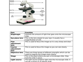 EDEXCEL BIOLOGY 9-1 GCSE (Separate) Topic 1 Key Concepts Notes YP